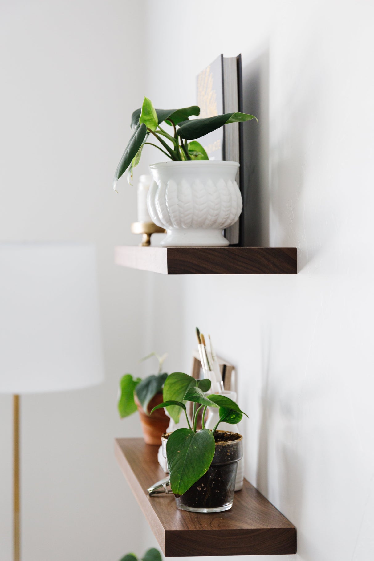 Most Popular Shelf