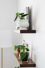 Most Popular Shelf